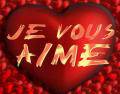 je vous aime